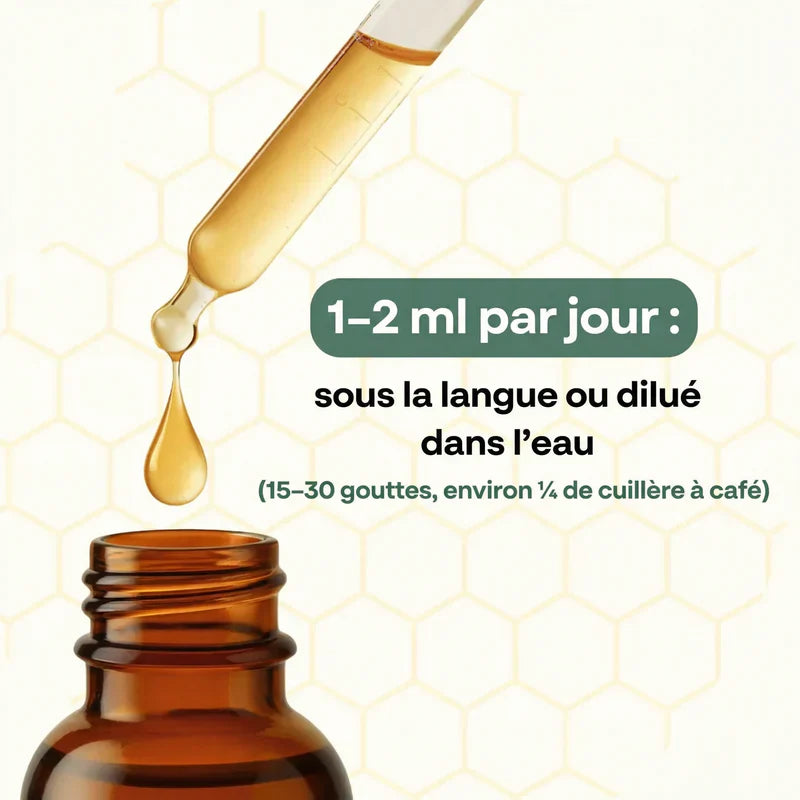 DRAINANT LYMPHATIQUE