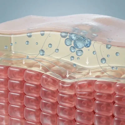 1. L'eau qui s'accumule applique une pression sur les cellul...